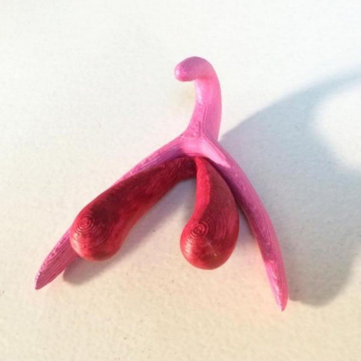 Hello Klitty: een clitoris is net zo groot als een penis