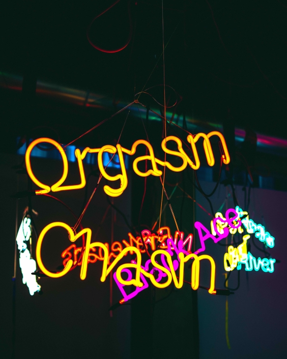 Orgasm Chasm