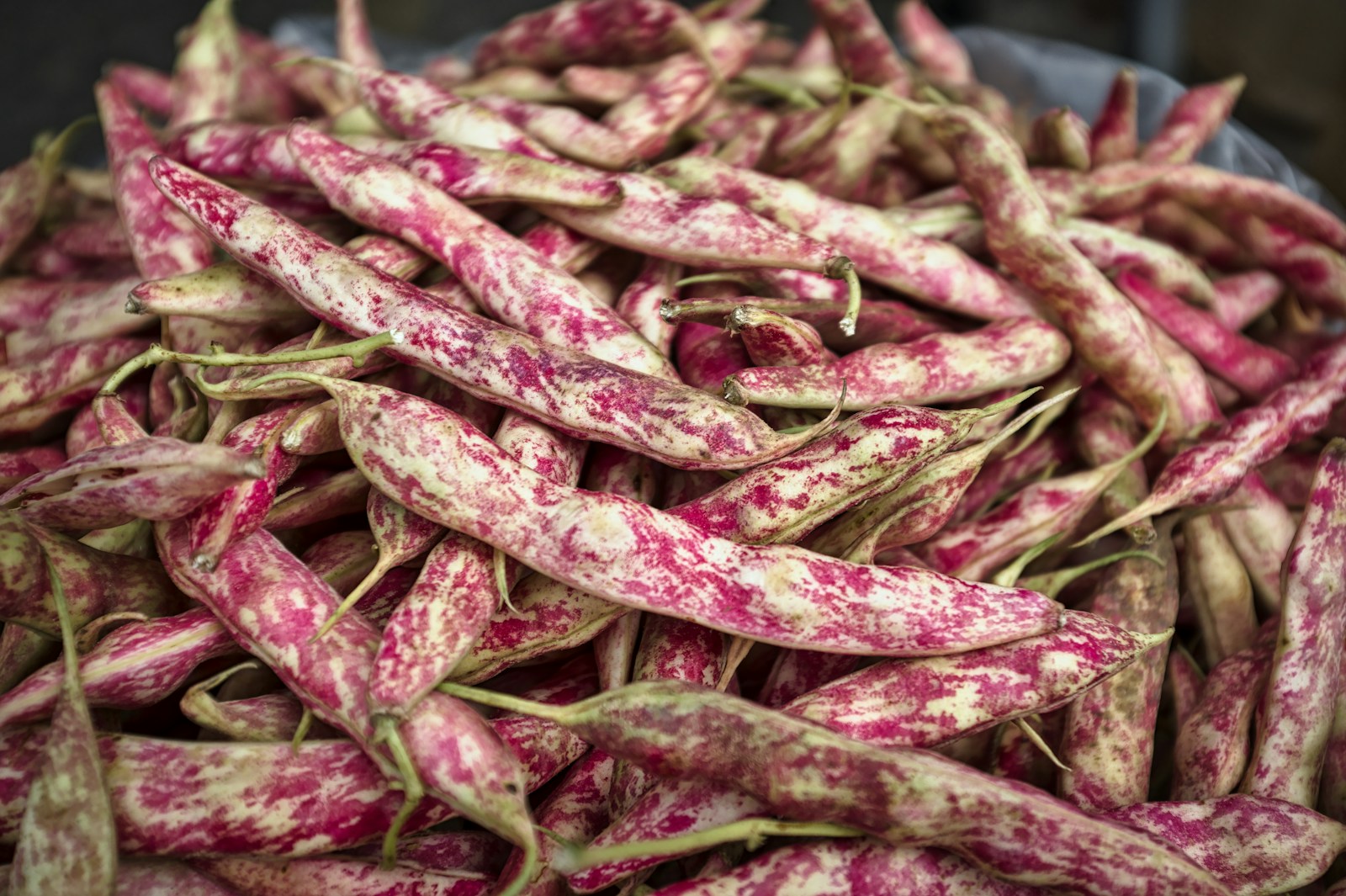 Koken met tuinbonen: van traditioneel tot verrassend modern
